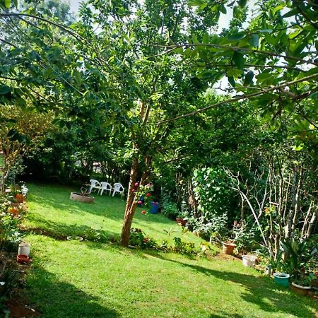 Pear Tree Inn Villa Kotagiri Kültér fotó
