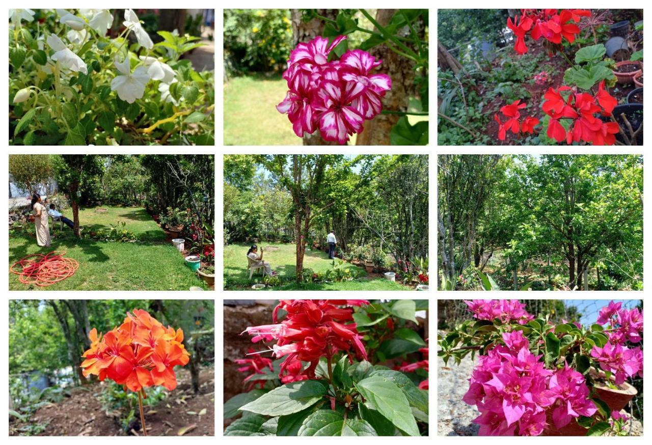 Pear Tree Inn Villa Kotagiri Kültér fotó