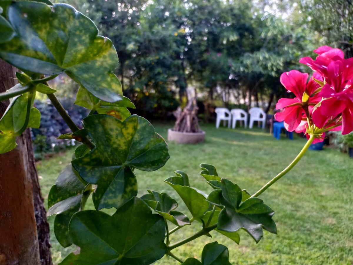 Pear Tree Inn Villa Kotagiri Kültér fotó